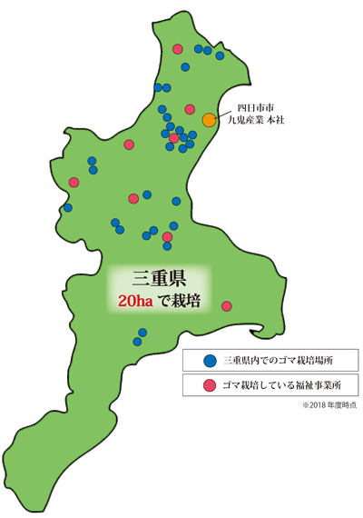 三重県ごま産地化プロジェクト1